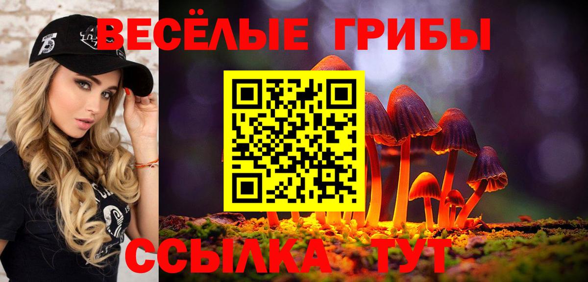 Псилоцибиновые грибы Psilocybine cubensis  Вход с VPN  Симферополь 